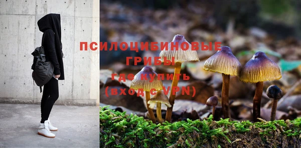 а пвп мука Иннополис