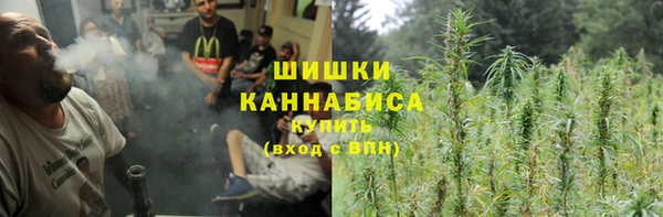 хмурый Тында