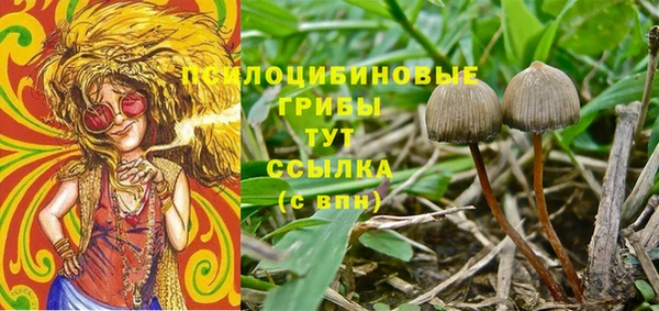 а пвп мука Иннополис