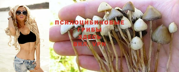а пвп мука Иннополис