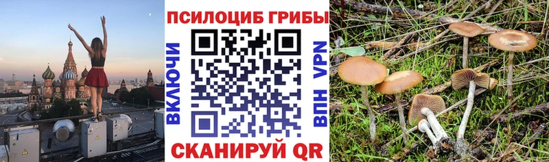 Псилоцибиновые грибы GOLDEN TEACHER  Ачинск 