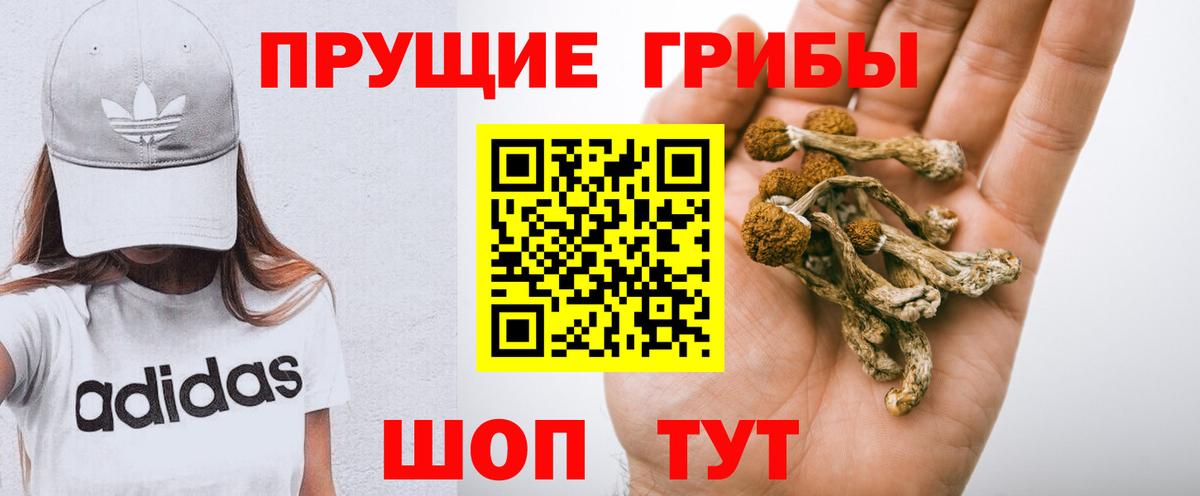 Галлюциногенные грибы мухоморы  Псилоцибиновые грибы мицелий  наркотики  Ачинск  Вход с VPN 