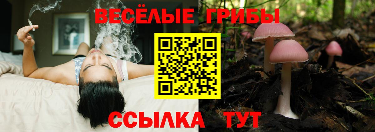 Галлюциногенные грибы ЛСД  Псилоцибиновые грибы Cubensis  Ачинск 