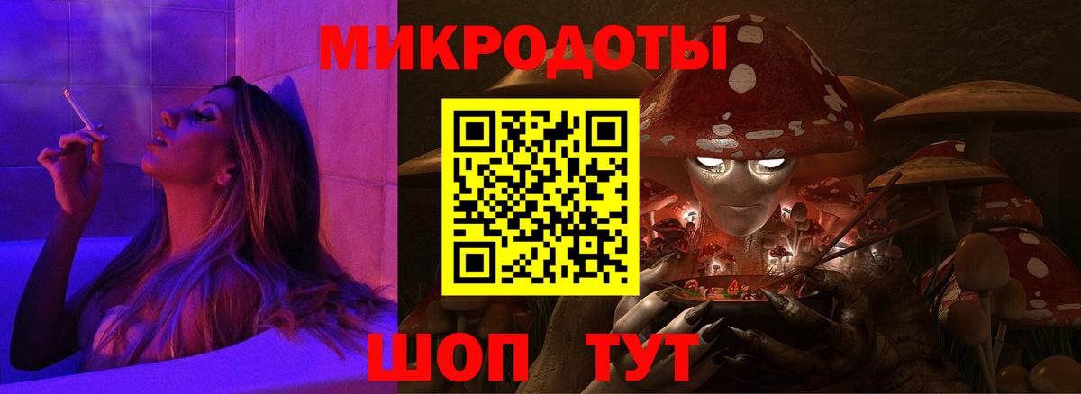 Псилоцибиновые грибы Psilocybe Ачинск