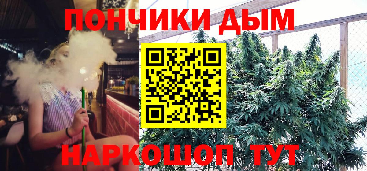 Канабис ГИДРОПОН  Вход с VPN  Ачинск  Бошки Шишки планчик 