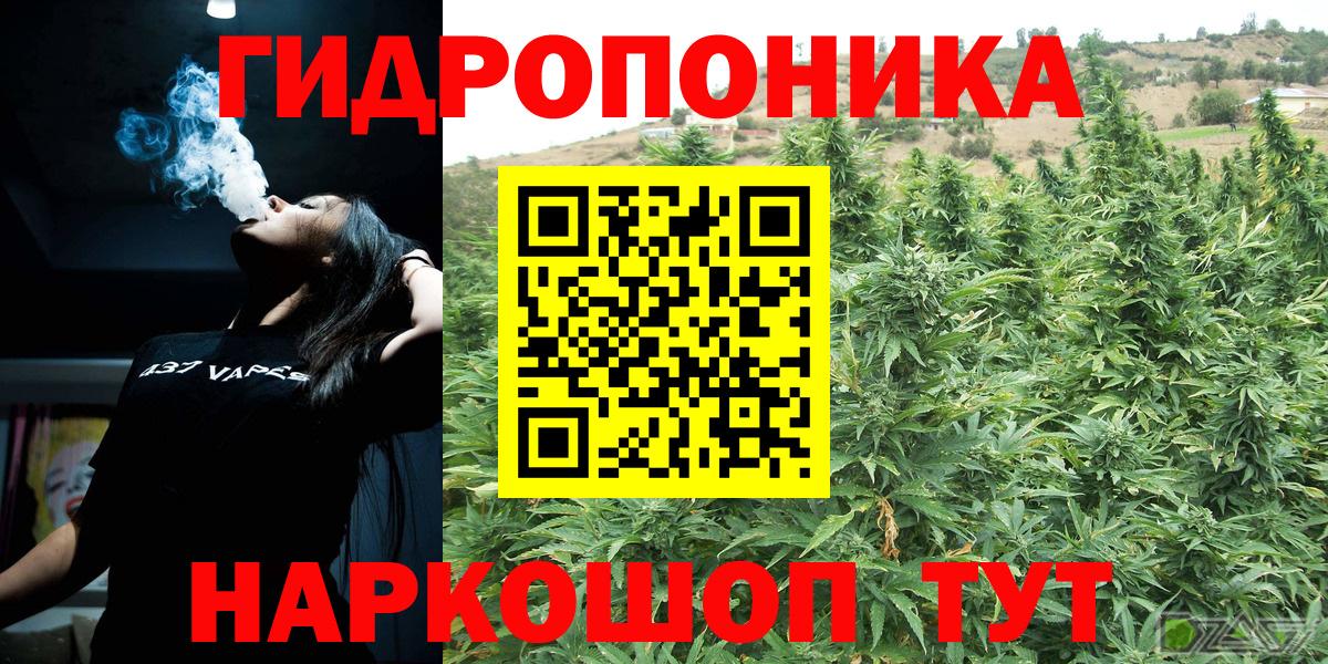 Каннабис сатива Ачинск